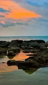 Sea Sense Resort - 9