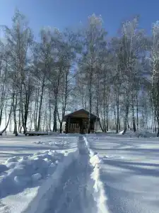 Лес & Озеро - 7