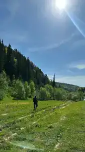 Лесная гармония - 25