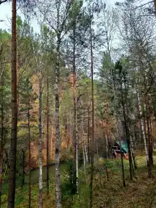 Загородный Очаг - 28