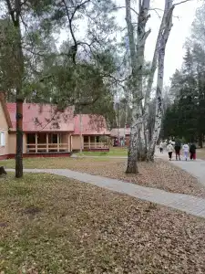 Лесной квартал - 38
