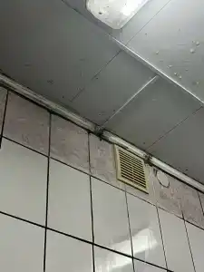 Нептун - 43