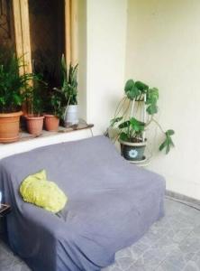 Guest House Mk - 19