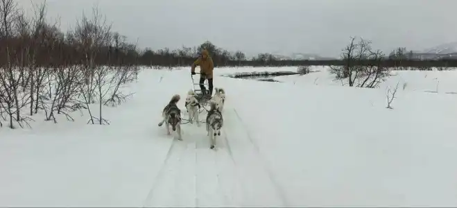 Паратунка - 36