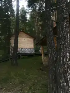 Семья - 46