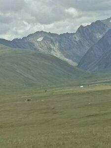 Altay Steppe - 35