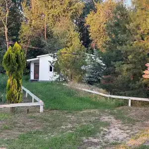 Золотая Дельта - 38
