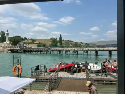 Главрыба - 81