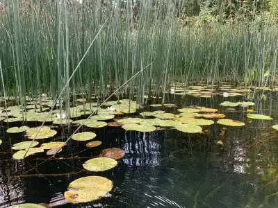 Club Selen Icmeler (Former Selen 2) - 19