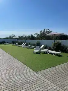 Калина красная - 2