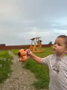 Малина кемп - 17