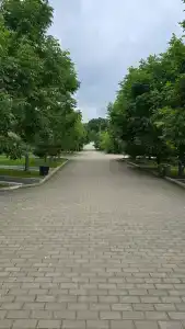 Утёс - 33