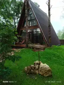 Магия леса - 93