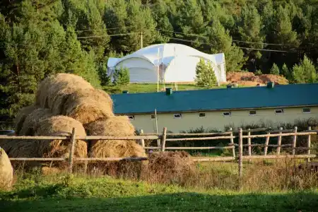 Конная эстетика - 38