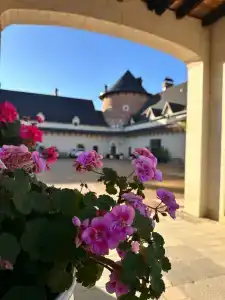 Замок La Ferme de Reve - 30