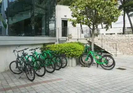 Punta - 12