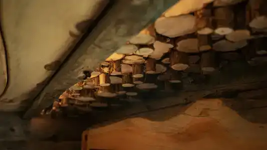 Трофимов Берег - 71