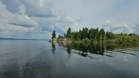 Алоха - 2