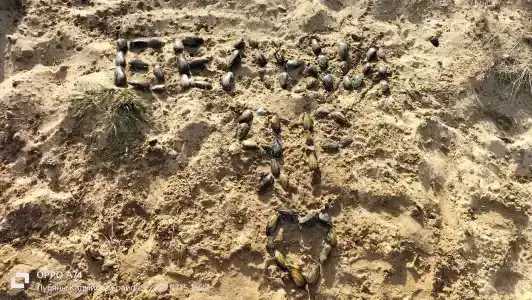 Белый Яр - 27