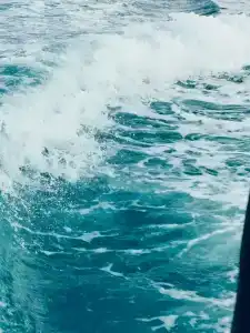 Арктик серф - 18