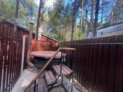 Виктория - 12
