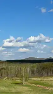 База отдыха СамТыКот - 17