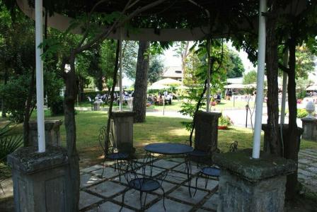 Pigna - 20