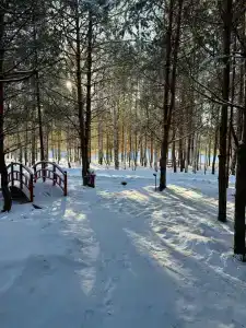 Липландия - 27