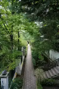 Казанова - 22