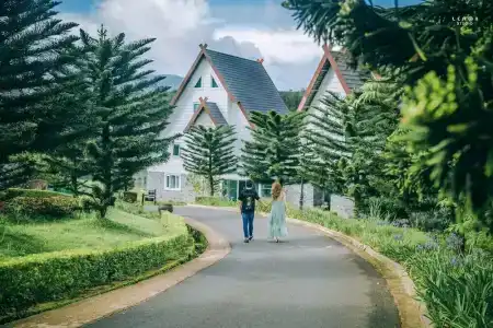 Dalat Wonder Resort - 49