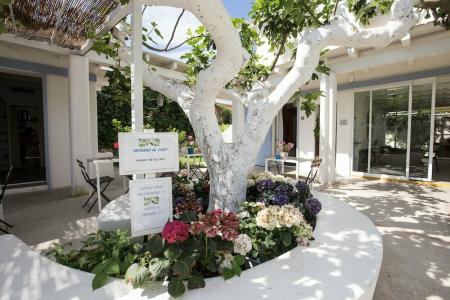 Intorno Al Fico - 21