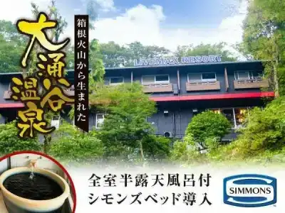 Livemax Resort Hakone-Sengokuhara - 8