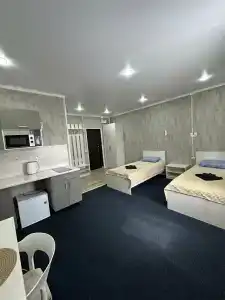 Спутник - 20