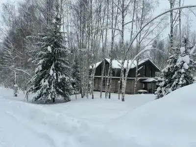 скульптора Эрьзи - 22
