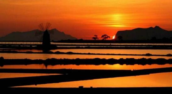 La Mimosa Case Vacanze - 6