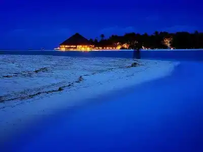 Bibee Maldives - 6