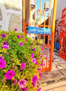 Bodrum Sade Pension - 30