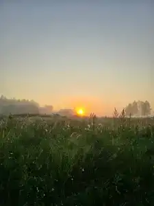 Надеждино - 10