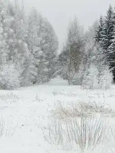 Уют - 40