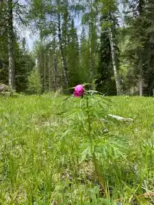 Под Счастливой Звездой - 36