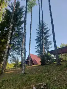 База отдыха у Игнойлы - 9