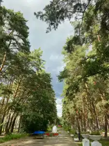 АО Тамбовкурорт - 33