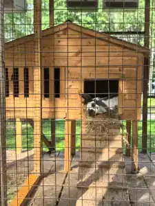 Серебряный Ключ - 31