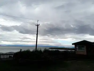 Дельфин - 26