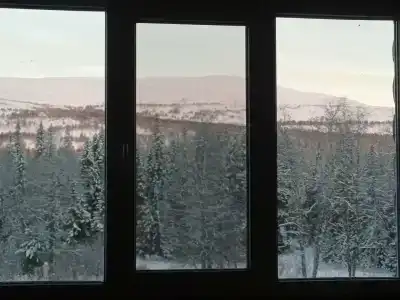 Звезда - 21