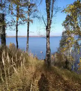 Диоген - 43