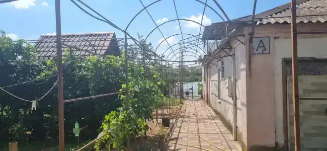Prosto Квашино - 38