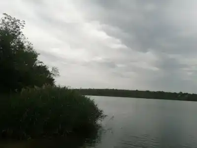 Уголек - 8