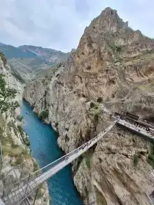 Главрыба - 25