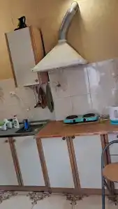 Сосна и Пальмы - 11